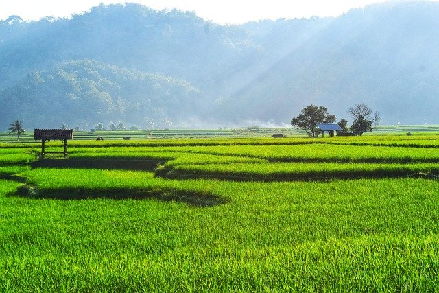 Desa Kedunglegok